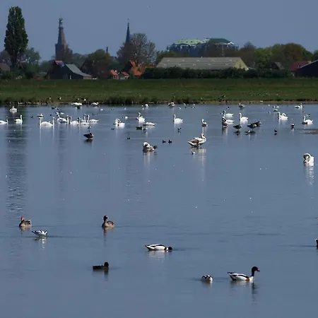Luxury tent De Boerenzwaluw Zijdewind